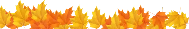 autumn leaves